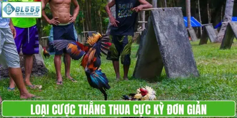 Loại cược thắng thua cực kỳ đơn giản