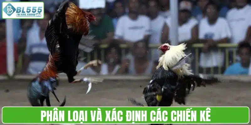 Phân loại và xác định các chiến kê