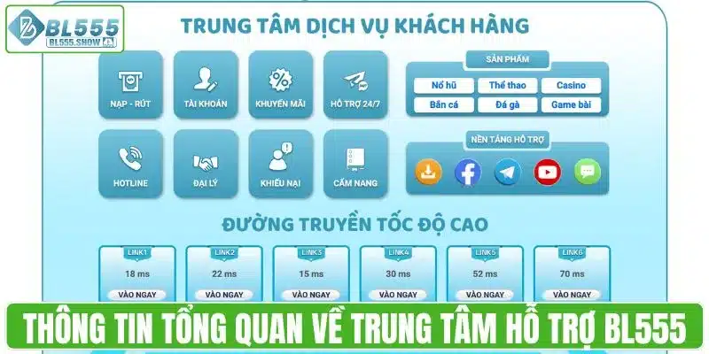 Thông tin tổng quan về trung tâm hỗ trợ BL555